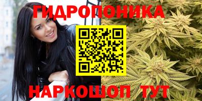 гашик Малоярославец