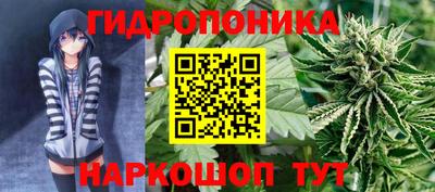 гашик Малоярославец
