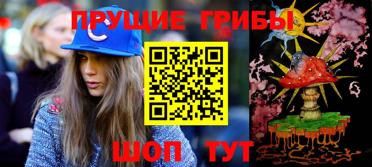 Галлюциногенные грибы Psilocybe Владикавказ