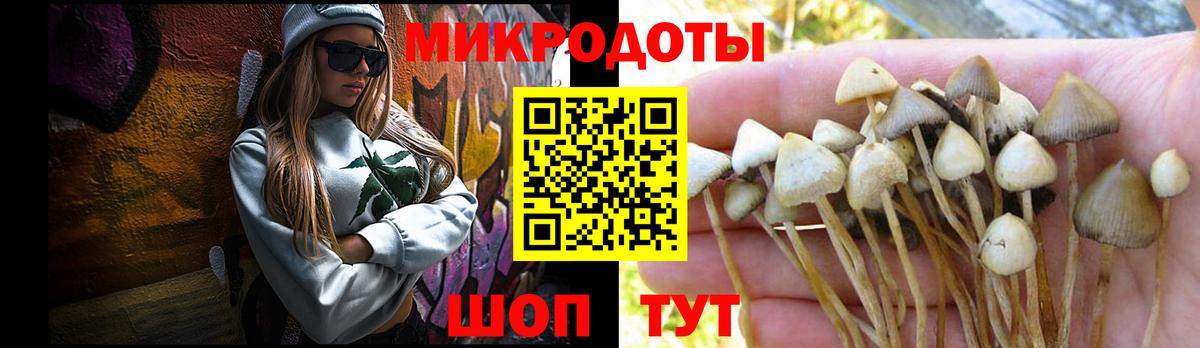 Галлюциногенные грибы Magic Shrooms  Вход с VPN  Псилоцибиновые грибы GOLDEN TEACHER  Владикавказ 